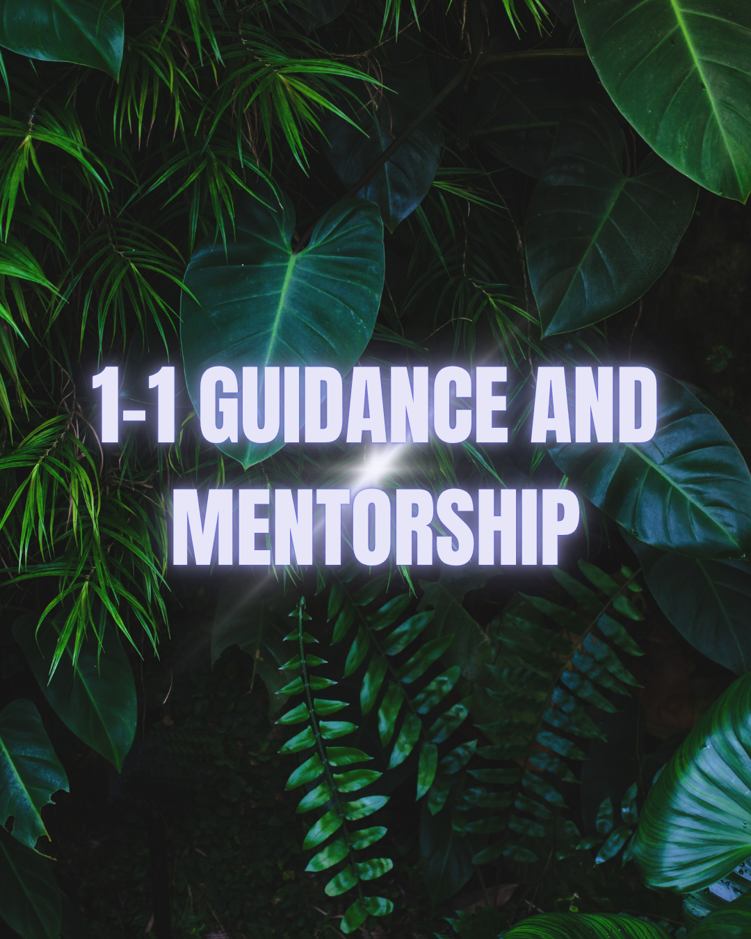 1-1 MENTORSHIP & GUIDANCE- 1 MONTH